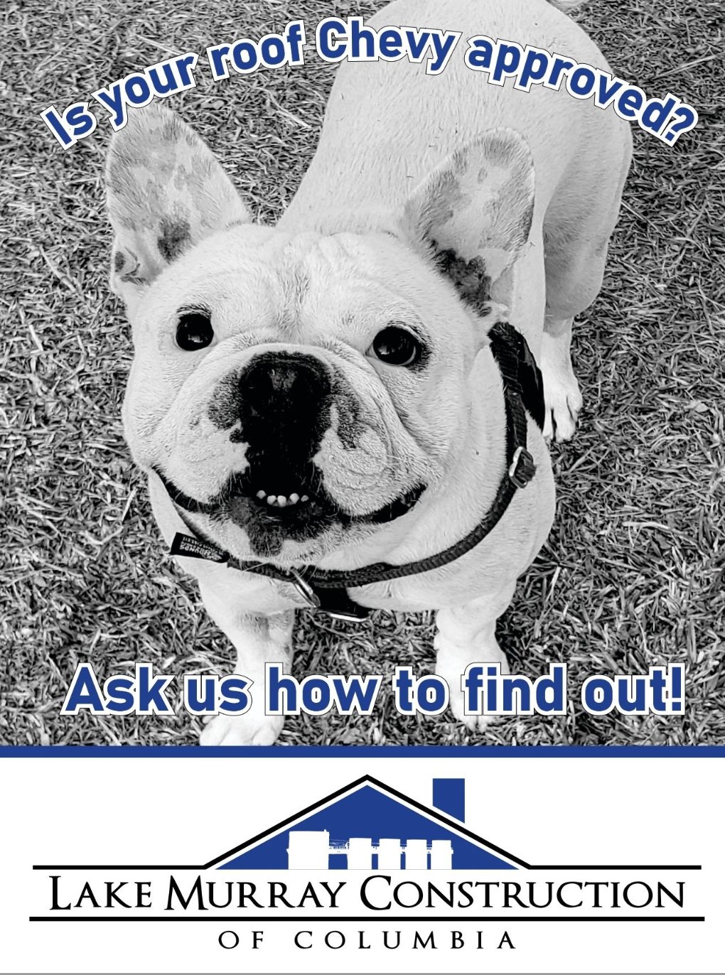 Lake Murray Construction mascot bulldog puppy in a black and white photo with an 'Ask us how to find out' caption