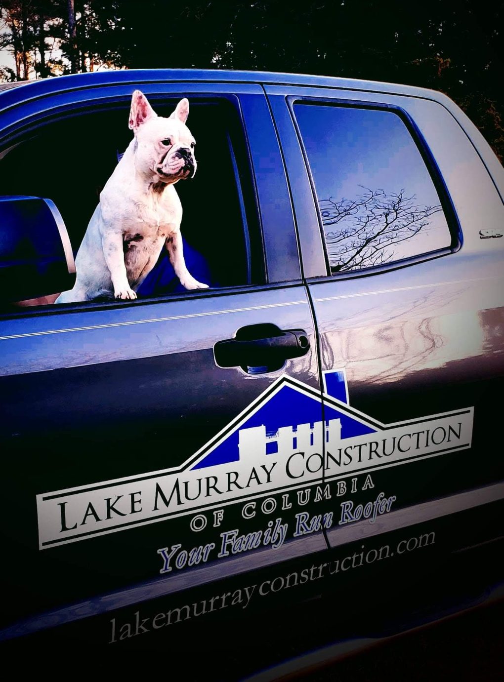 White French bulldog sitting in a Lake Murray Construction truck window next to the company door decal